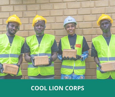 Cool Lion Corps